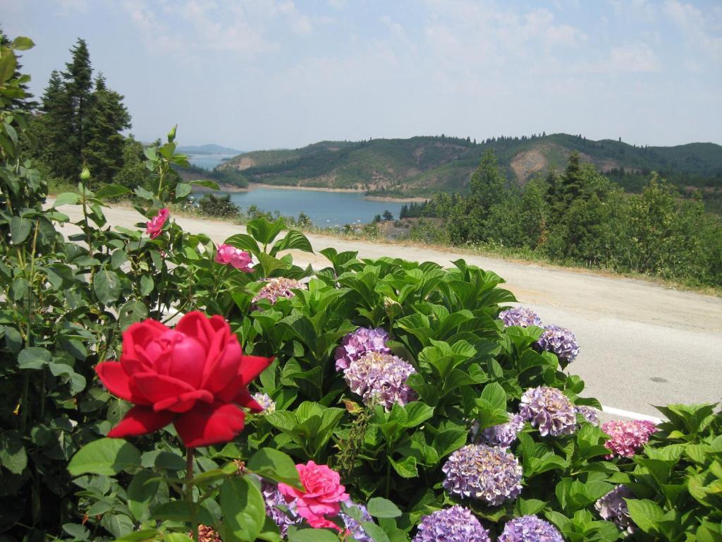 Guesthouse Moucha ห้อง รูปภาพ